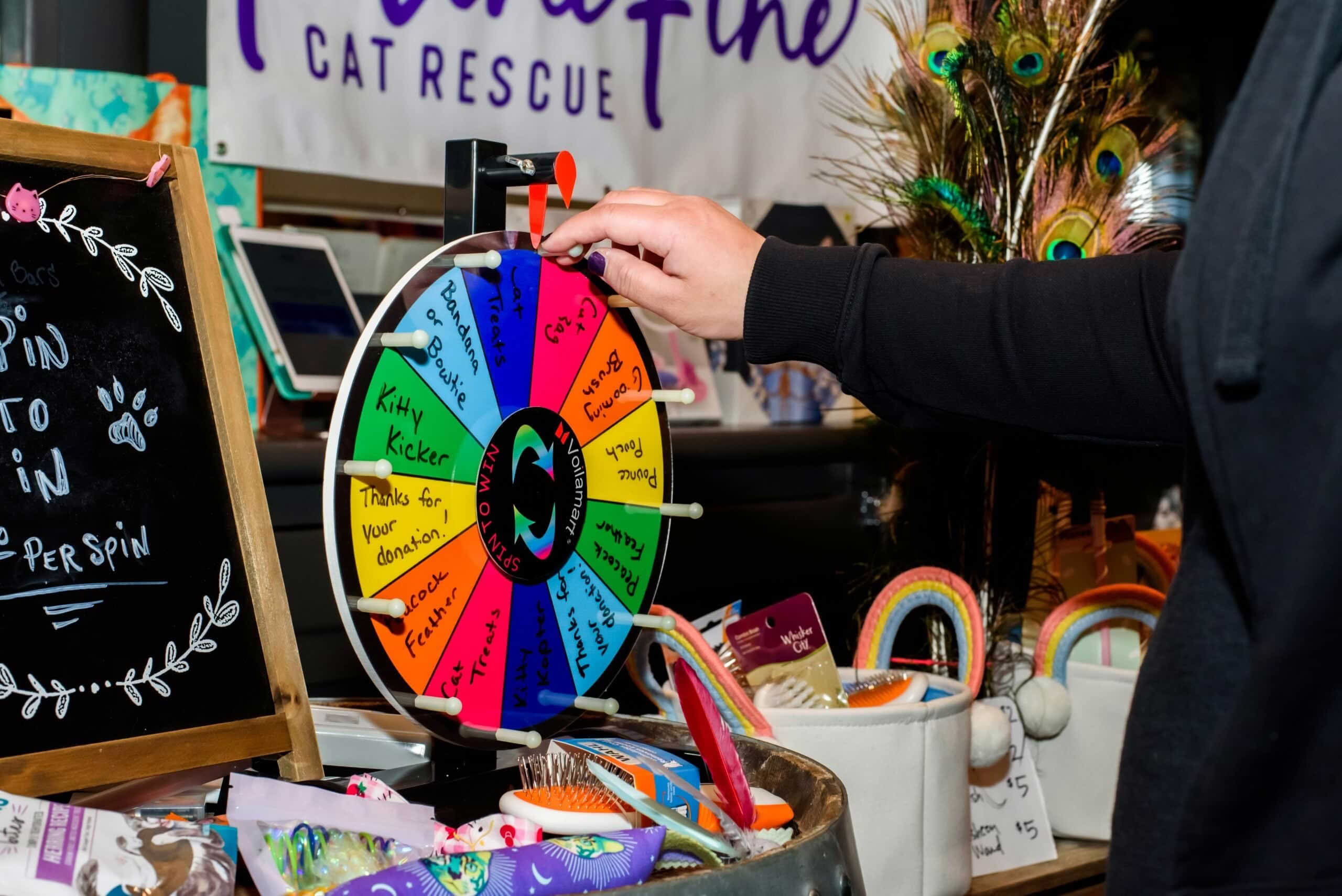 A close-up of a hand spinning a colorful prize wheel at a "Purrfect Fine Cat Rescue" event, featuring prizes like "Kitty Kicker" and "Cat Treats" near a chalkboard sign.